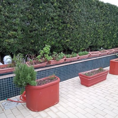 Apartamentos com 94m², 3 quartos, 1 suíte, 1 garagem, no bairro Campinas em São José