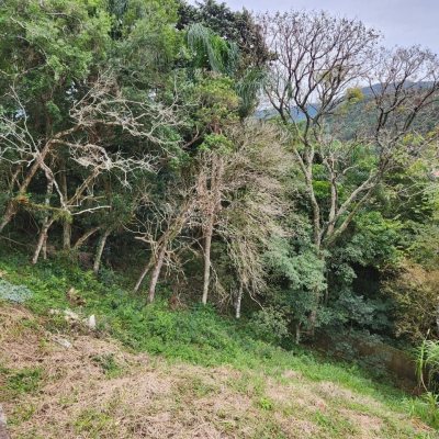 Terrenos Residenciais com 794m², no bairro Córrego Grande em Florianópolis