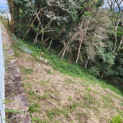 Terrenos Residenciais com 794m², no bairro Córrego Grande em Florianópolis