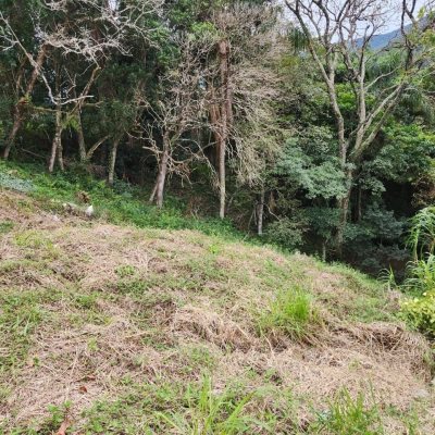 Terrenos Residenciais com 794m², no bairro Córrego Grande em Florianópolis