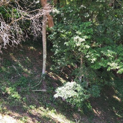 Terrenos Residenciais com 794m², no bairro Córrego Grande em Florianópolis