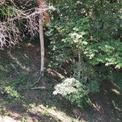 Terrenos Residenciais com 794m², no bairro Córrego Grande em Florianópolis