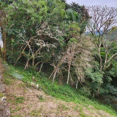 Terrenos Residenciais com 794m², no bairro Córrego Grande em Florianópolis