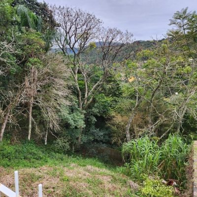 Terrenos Residenciais com 794m², no bairro Córrego Grande em Florianópolis