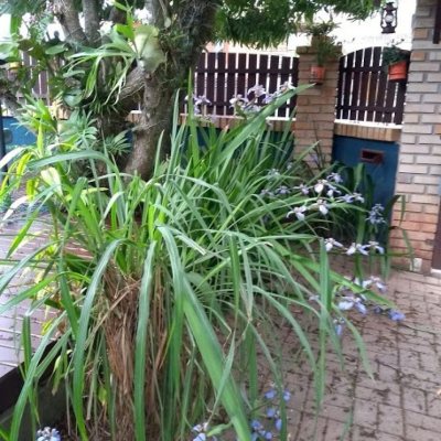 Casa Residencial com 160m², 3 quartos, 1 suíte, 2 garagens, no bairro Rio Tavares em Florianópolis