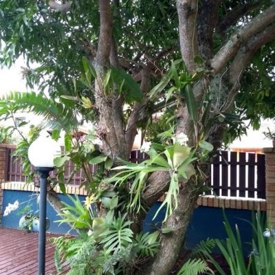 Casa Residencial com 160m², 3 quartos, 1 suíte, 2 garagens, no bairro Rio Tavares em Florianópolis