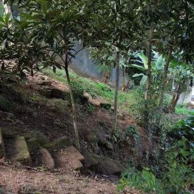 Terreno Comercial/Residencial com 1427m², no bairro Coqueiros em Florianópolis