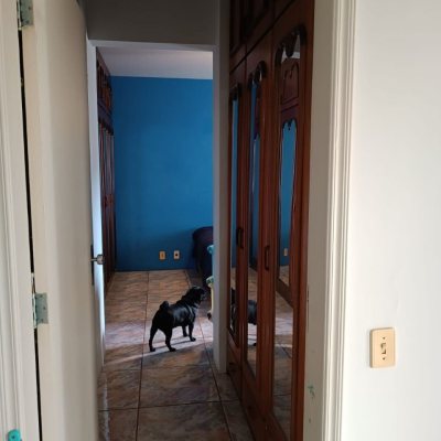 Apartamentos com 122m², 3 quartos, 1 suíte, 1 garagem, no bairro Centro em Florianópolis