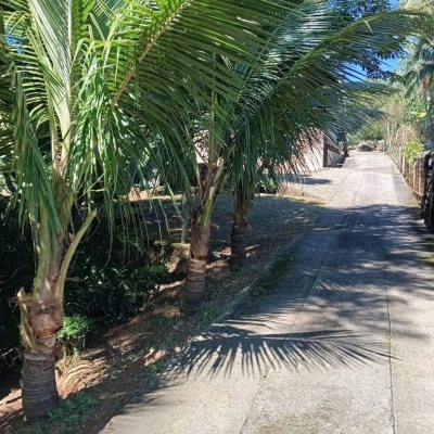 Casa Residencial com 15600m², 3 quartos, 1 suíte, 2 garagens, no bairro Ribeirão Da Ilha em Florianópolis