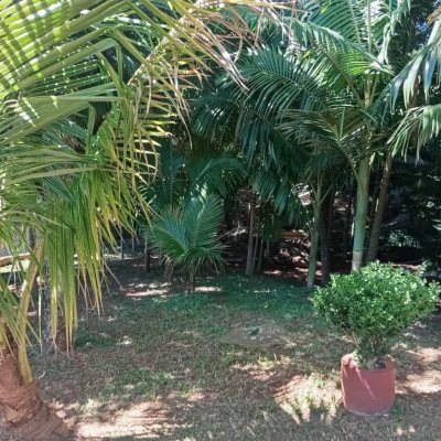 Casa Residencial com 15600m², 3 quartos, 1 suíte, 2 garagens, no bairro Ribeirão Da Ilha em Florianópolis