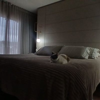 Casa Residencial com 271m², 3 quartos, 1 suíte, 2 garagens, no bairro Serraria em São José