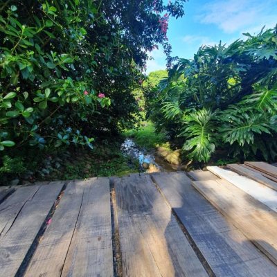 Terrenos Residenciais com 1261m², no bairro Ingleses em Florianópolis