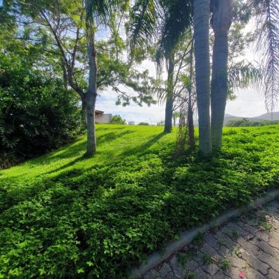 Terrenos Residenciais com 1261m², no bairro Ingleses em Florianópolis