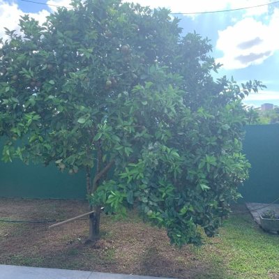 Casa Residencial com 157m², 3 quartos, 1 suíte, 4 garagens, no bairro Campeche em Florianópolis