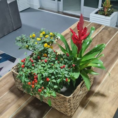 Cobertura com 132m², 5 quartos, 1 suíte, 1 garagem, no bairro Estreito em Florianópolis