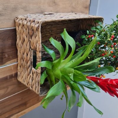 Cobertura com 132m², 5 quartos, 1 suíte, 1 garagem, no bairro Estreito em Florianópolis