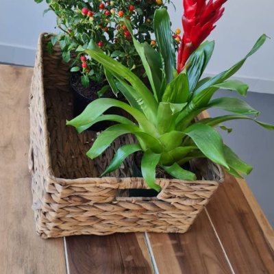 Cobertura com 132m², 5 quartos, 1 suíte, 1 garagem, no bairro Estreito em Florianópolis