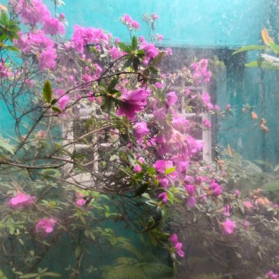 Casa Residencial com 224m², 6 quartos (sendo 2 suítes), 5 garagens, no bairro Agronômica em Florianópolis