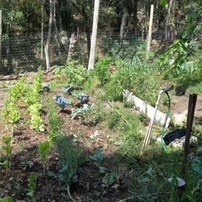 Sitio com 118m², 3 quartos, 1 suíte, 4 garagens, no bairro Vargem Do Bom Jesus em Florianópolis