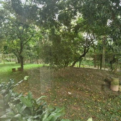 Apartamentos com 79m², 3 quartos, 1 suíte, 2 garagens, no bairro Córrego Grande em Florianópolis