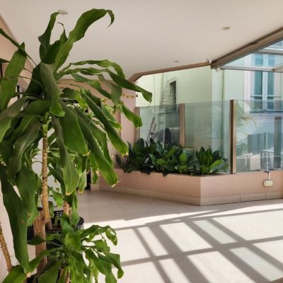 Apartamentos com 65m², 2 quartos, 1 garagem, no bairro Centro em Florianópolis