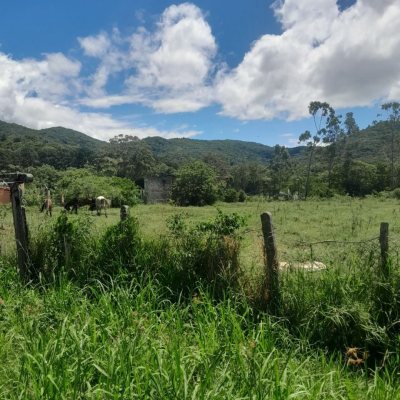 Sitio com 5280m², 3 quartos, 1 suíte, no bairro Ratones em Florianópolis