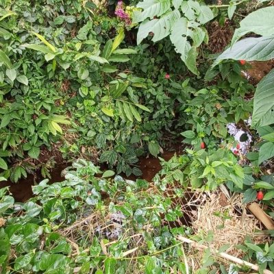 Terrenos Residenciais com 1435m², no bairro Sambaqui em Florianópolis