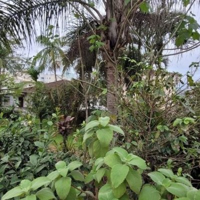 Terreno Comercial/Residencial com 1451m², no bairro Bela Vista em Palhoça