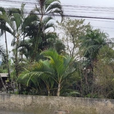 Terreno Comercial/Residencial com 1451m², no bairro Bela Vista em Palhoça