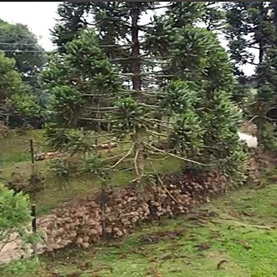 Terrenos Residenciais com 1000m², no bairro Rancho Queimado em Rancho Queimado