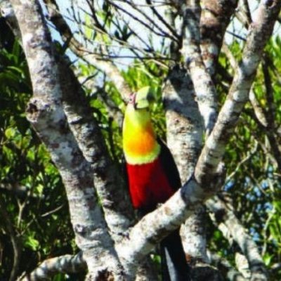 Terrenos Residenciais com 1000m², no bairro Rancho Queimado em Rancho Queimado