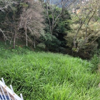 Terreno Comercial/Residencial com 749m², no bairro Corrego Grande em Florianópolis