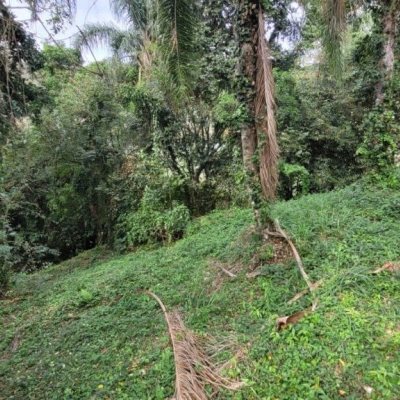 Terreno Comercial/Residencial com 749m², no bairro Corrego Grande em Florianópolis