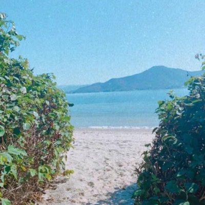 Casa Residencial com 222m², 4 quartos, 2 suítes, 2 garagens, no bairro Daniela em Florianópolis