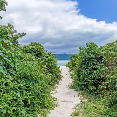Casa Residencial com 222m², 4 quartos, 2 suítes, 2 garagens, no bairro Daniela em Florianópolis