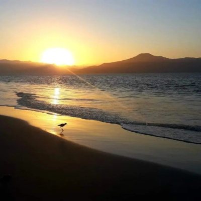 Casa Residencial com 222m², 4 quartos, 2 suítes, 2 garagens, no bairro Daniela em Florianópolis