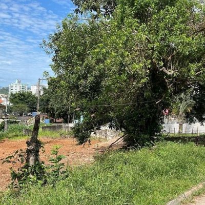 Terrenos Residenciais com 1350m², no bairro Itacorubi em Florianópolis