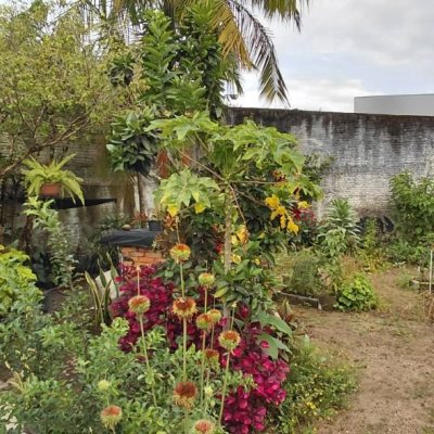 Casa Residencial com 136m², 2 quartos, 1 garagem, no bairro Centro em Palhoça