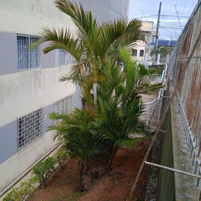 Apartamentos com 74m², 3 quartos, no bairro Jardim Atlântico em Florianópolis