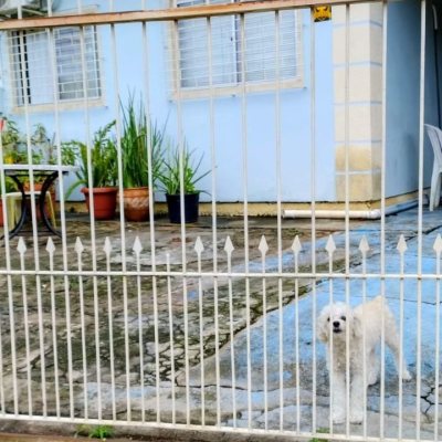 Casa Residencial com 99m², 2 quartos, 1 garagem, no bairro Vargem Do Bom Jesus em Florianópolis