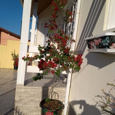 Casa Residencial com 115m², 5 quartos, 1 suíte, no bairro Saco Dos Limões em Florianópolis