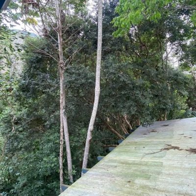 Sitio com 180m², 3 quartos (sendo 1 suíte), no bairro Vargem Grande em Florianópolis