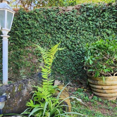 Casa Residencial com 180m², 3 quartos, 1 suíte, 5 garagens, no bairro Campeche em Florianópolis