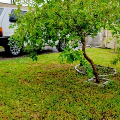 Casa Residencial com 53m², 2 quartos, 1 garagem, no bairro Vargem Do Bom Jesus em Florianópolis