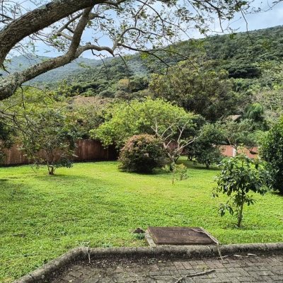 Terrenos Residenciais com 401m², no bairro Pântano do Sul em Florianópolis