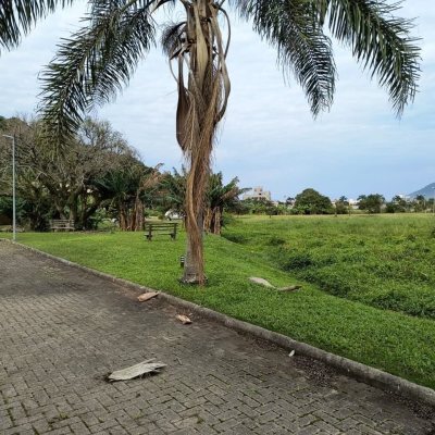 Terrenos Residenciais com 401m², no bairro Pântano do Sul em Florianópolis