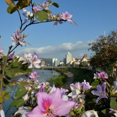 Casa Residencial com 131m², 3 quartos, 2 garagens, no bairro Salto Weissbach em Blumenau