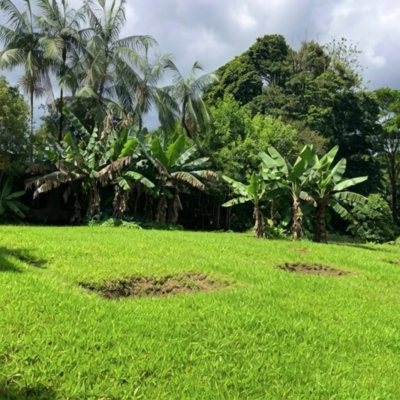 Casa Residencial com 131m², 3 quartos, 2 garagens, no bairro Salto Weissbach em Blumenau