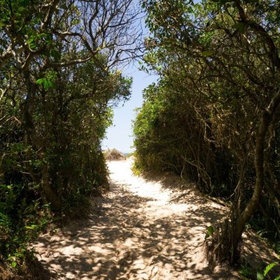 Casa Residencial com 439m², 5 quartos, 5 suítes, 6 garagens, no bairro Rio Tavares em Florianópolis