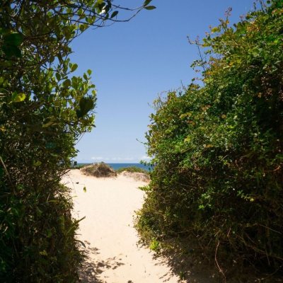 Casa Residencial com 439m², 5 quartos, 5 suítes, 6 garagens, no bairro Rio Tavares em Florianópolis